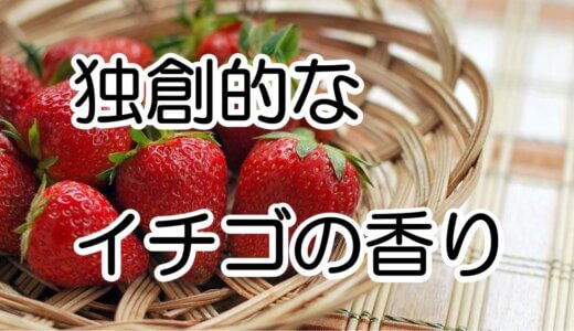 【図解】イチゴの香りはイチゴではない？　ファンシーフレーバーとは？