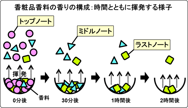 香水に使われる香りを トップノート 、 ミドルノート 、 ラストノート と分けて表現することがあります。揮発して、空気中への広がりやすさで分け ...