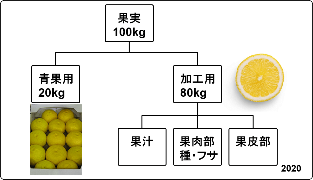 use for yuzu_03