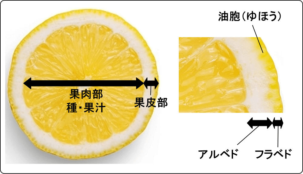 yuzu composition_02