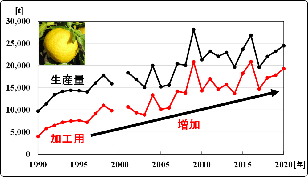 yuzu production_03