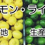 lemon lime market_02