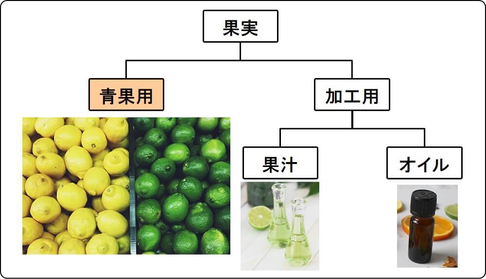 lemon lime use (fresh, juice, oil)_2