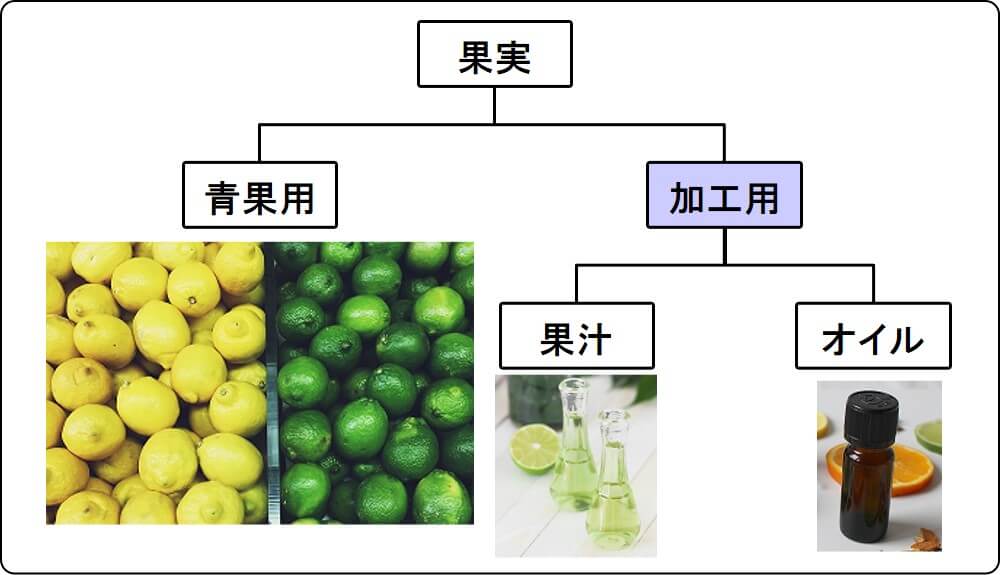 lemon lime use (fresh, juice, oil)_3