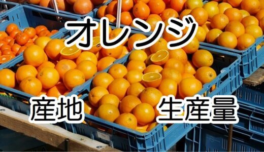 【図解】オレンジオイルの産地はどこ？　世界のオレンジ生産量