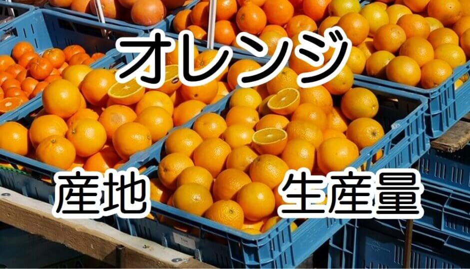 orange market_02