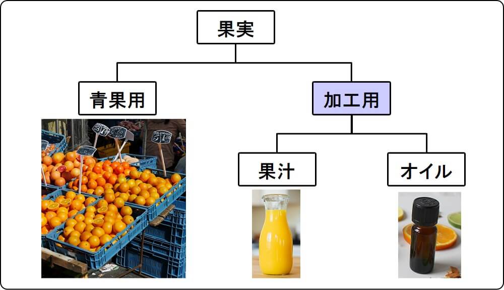 orange use (fresh, juice, oil)_3