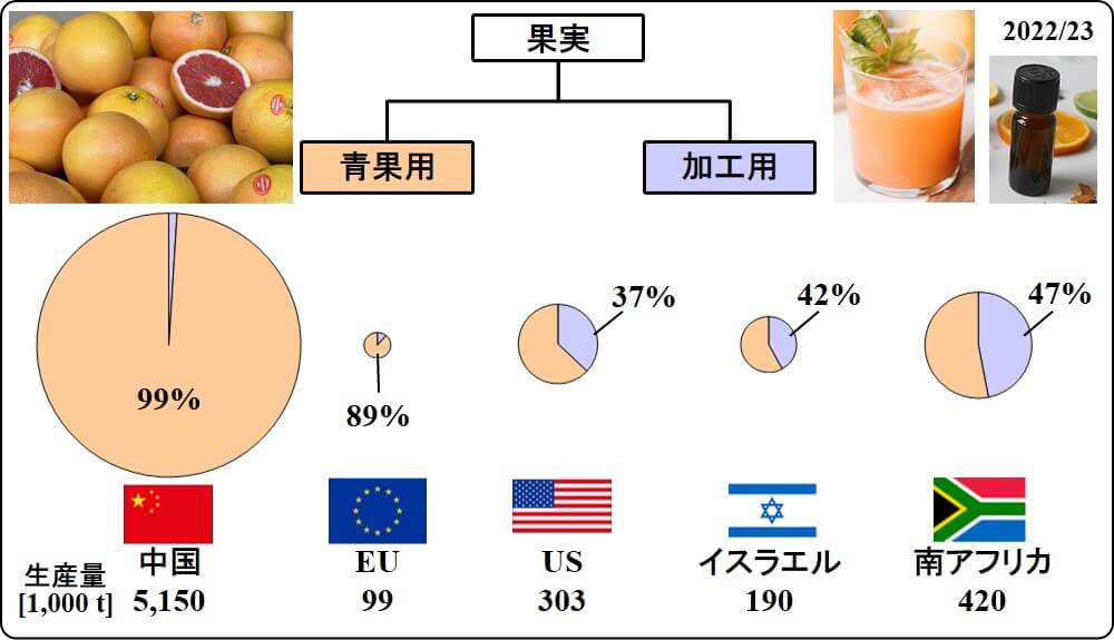 grapefruit ratio of frech consumption vs for processing 2023
