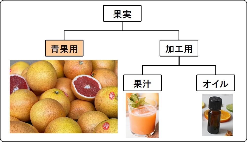 grapefruit use (fresh, juice, oil)_2