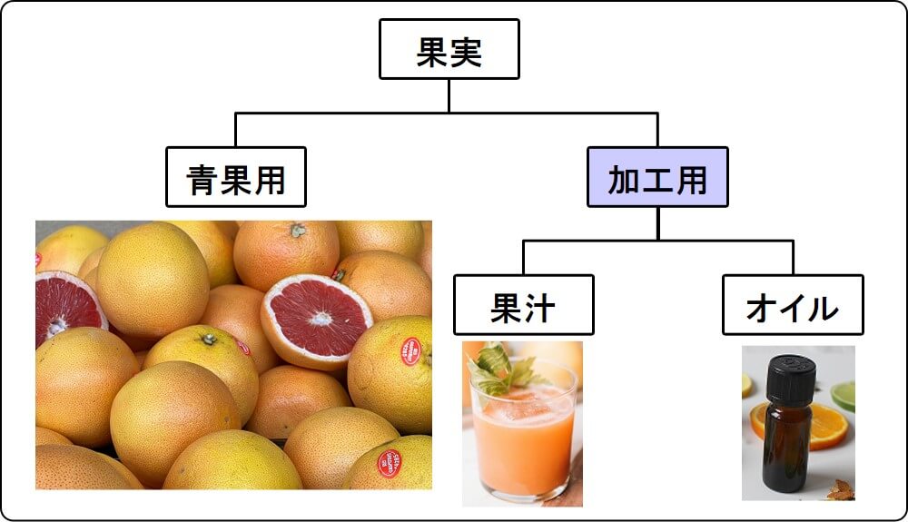 grapefruit use (fresh, juice, oil)_3