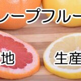 grapefruit white pink ruby_02