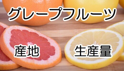 【図解】グレープフルーツオイルの産地はどこ？