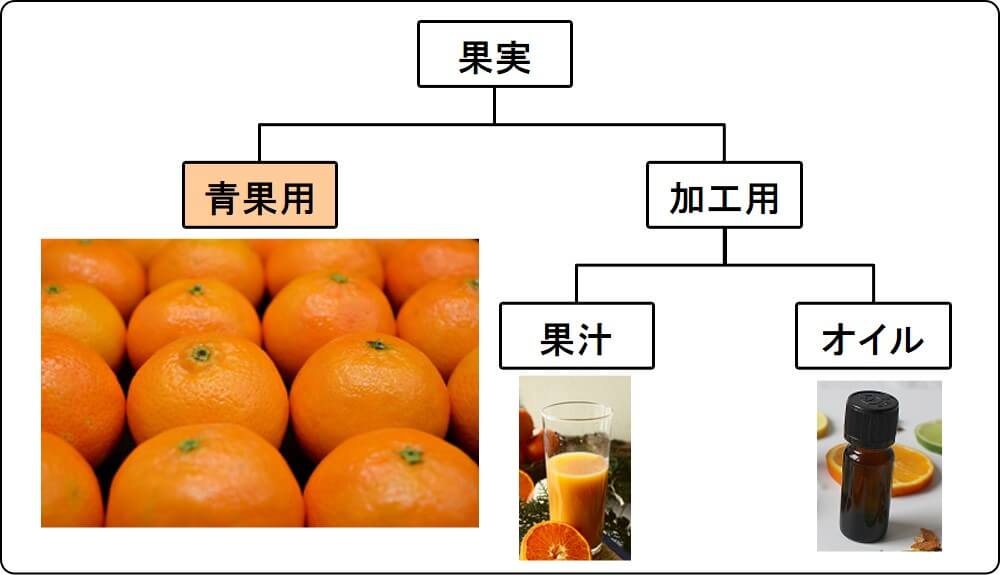 mandarin tangerine use (fresh, juice, oil)_1