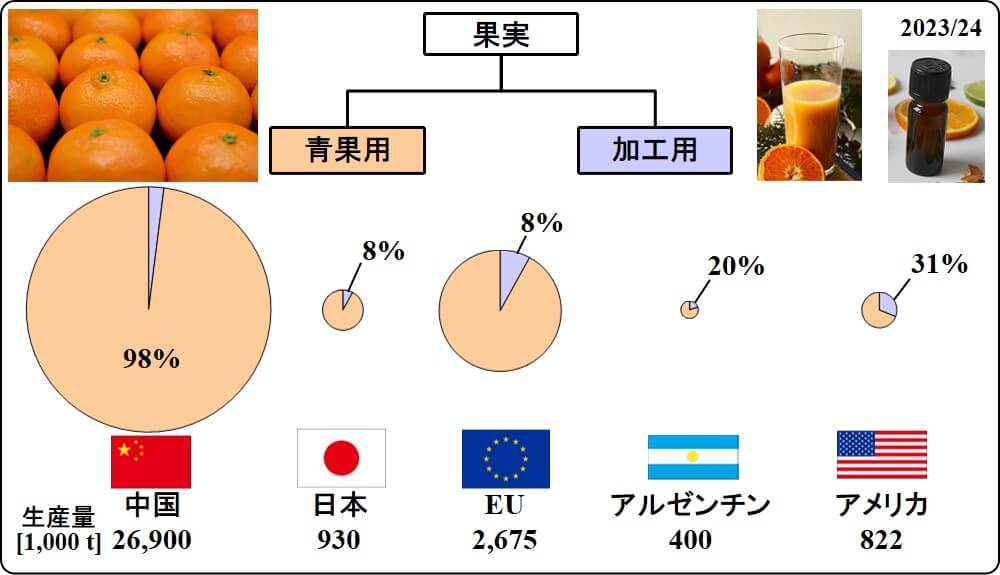 ratio of fresh consumption vs for processing mandarin tangerine 2024_Jan