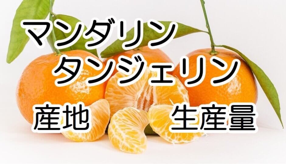 top mandarin tangerine_01